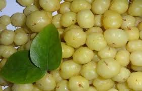 Amla Murabba