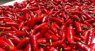 Red Chilli