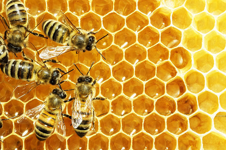 Honey